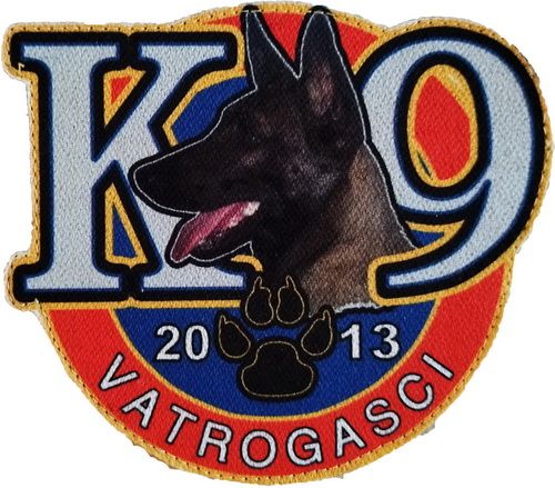 K 9 2013