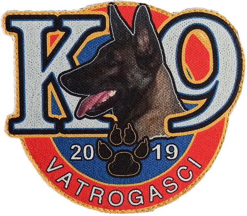 K 9 2019