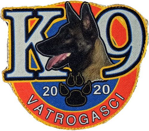 K 9 2020