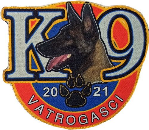 K 9 2021