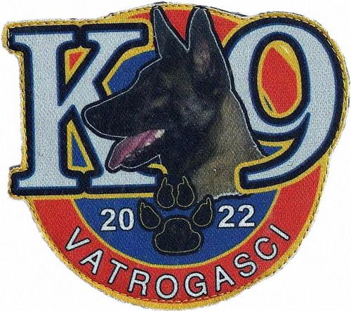 K 9 2022