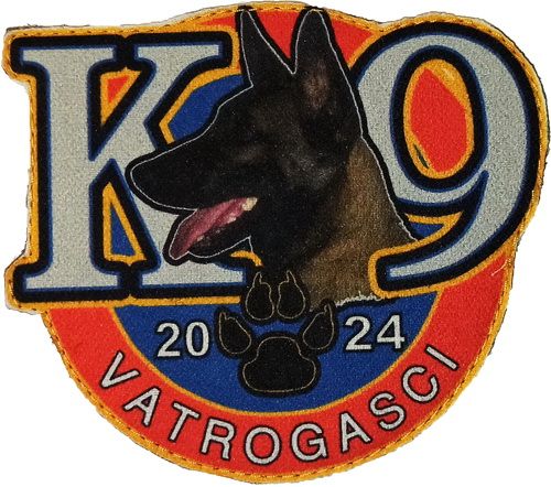 K 9 2024