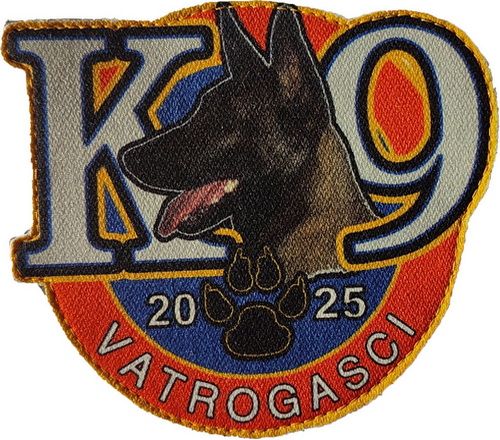 K 9 2025