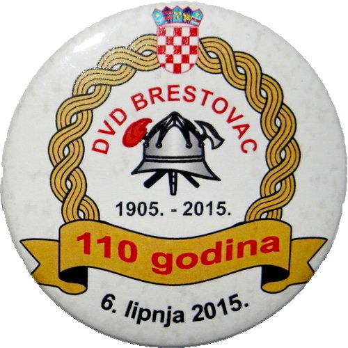 DVD BRESTOVAC 1905 2015