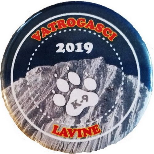 VATROGASCI 2019 LAVINE