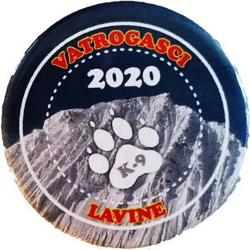 VATROGASCI 2020 LAVINE
