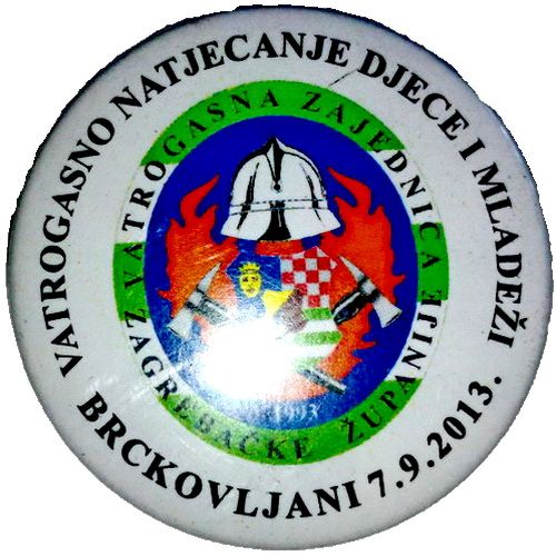 VZZŽ 2013 BRCKOVLJANI