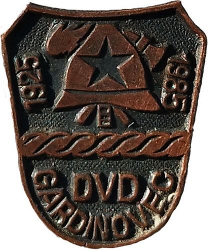 DVD GARDINOVEC 1925 1985 brončana
