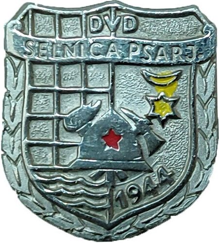 DVD SELNICA PSARJEVAČKA srebrna